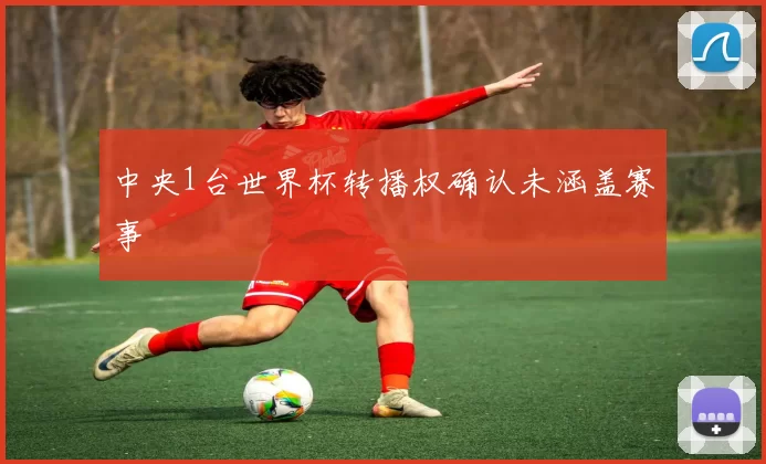 中央1台世界杯转播权确认未涵盖赛事