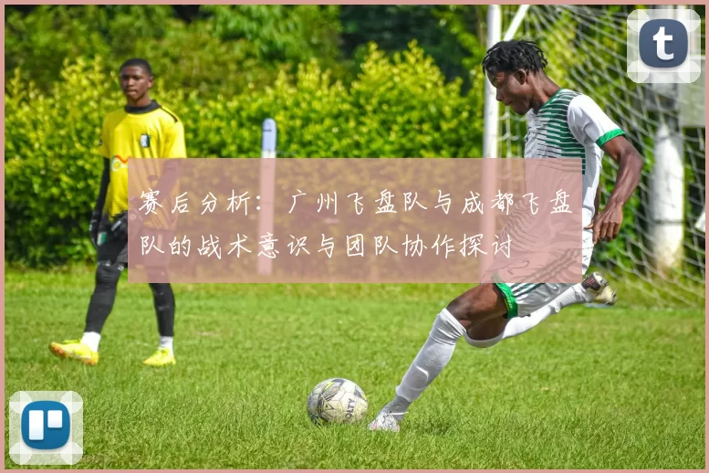 赛后分析：广州飞盘队与成都飞盘队的战术意识与团队协作探讨