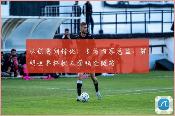 从创意到转化：专访内容总监，解码世界杯软文营销全链路