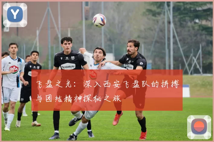 飞盘之光：深入西安飞盘队的拼搏与团结精神探秘之旅