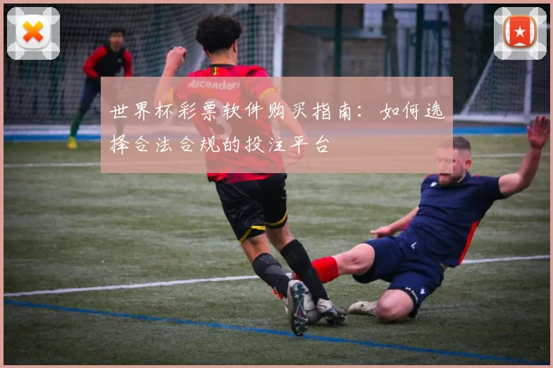 世界杯彩票软件购买指南:如何选择合法合规的投注平台