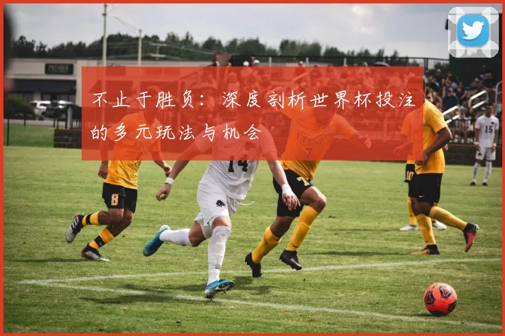 不止于胜负：深度剖析世界杯投注的多元玩法与机会