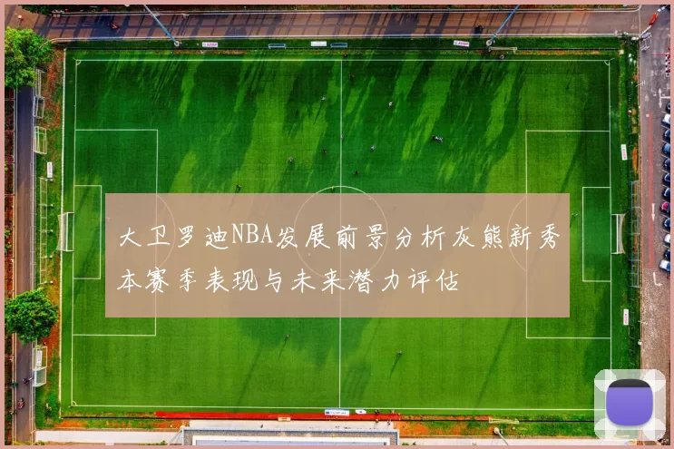 大卫罗迪NBA发展前景分析灰熊新秀本赛季表现与未来潜力评估