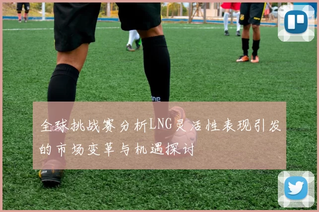 全球挑战赛分析LNG灵活性表现引发的市场变革与机遇探讨