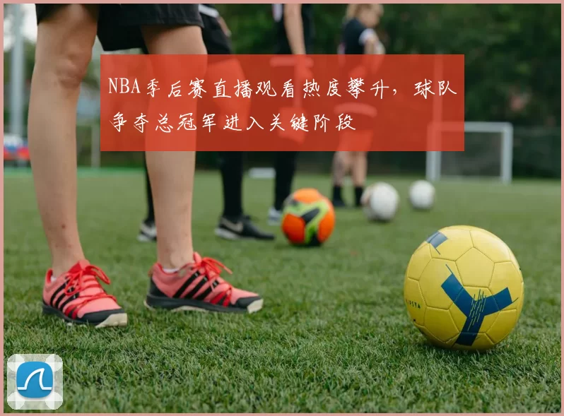 NBA季后赛直播观看热度攀升,球队争夺总冠军进入关键阶段