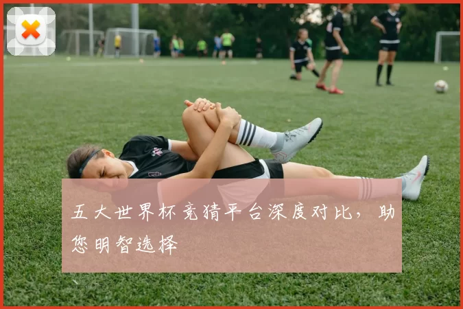 五大世界杯竞猜平台深度对比,助您明智选择