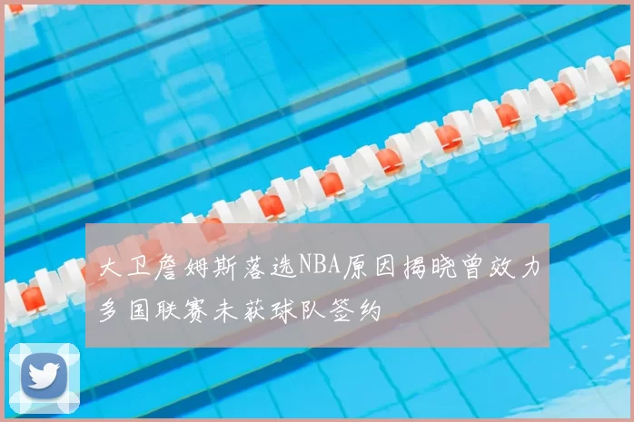 大卫詹姆斯落选NBA原因揭晓曾效力多国联赛未获球队签约