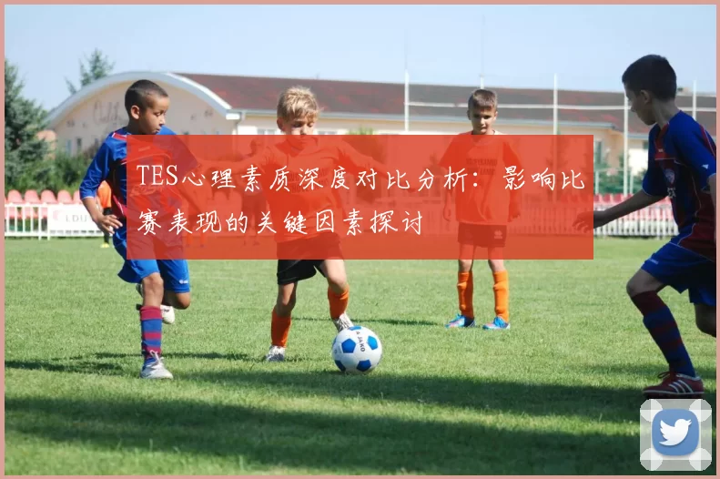 TES心理素质深度对比分析：影响比赛表现的关键因素探讨