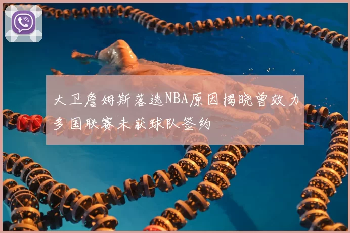 大卫詹姆斯落选NBA原因揭晓曾效力多国联赛未获球队签约