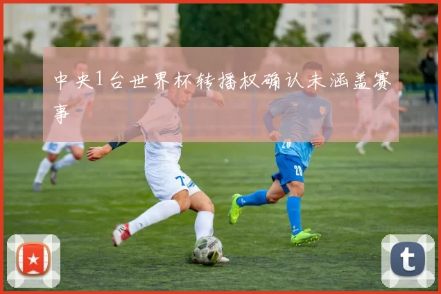 中央1台世界杯转播权确认未涵盖赛事