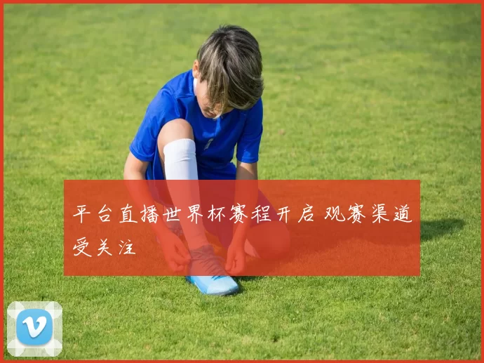 平台直播世界杯赛程开启 观赛渠道受关注