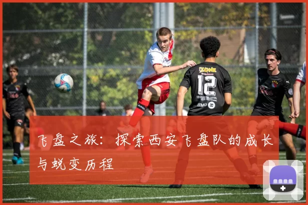 飞盘之旅：探索西安飞盘队的成长与蜕变历程