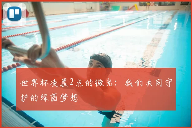 世界杯凌晨2点的微光:我们共同守护的绿茵梦想